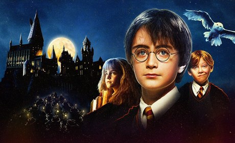 Harry Potter a Kámen mudrců
