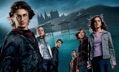 Harry Potter a Ohnivý pohár
